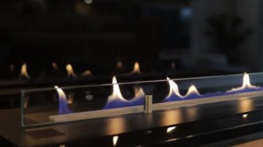 Bio fireplace burning on ethanol