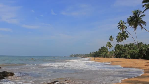 Prachtig Oceaanstrand Sri Lanka — Stockvideo