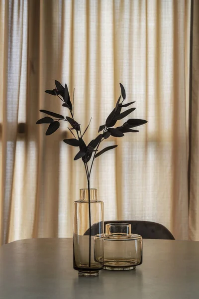 Glass Vases Home Decor Plant Table Modern Interior — Foto Stock