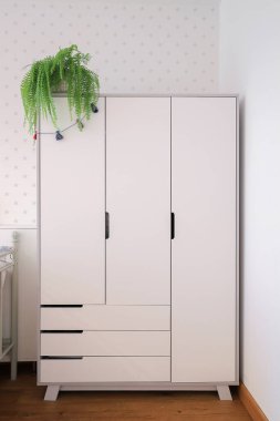 White wardrobe in the room interior