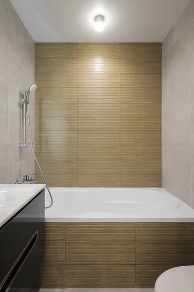 Duschsystem Mit Badewanne Badezimmer — Stockfoto