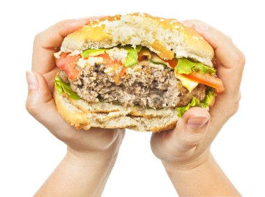 Burger in hands clipart
