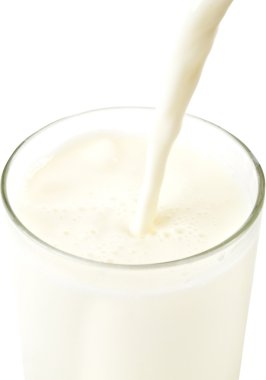 Süt