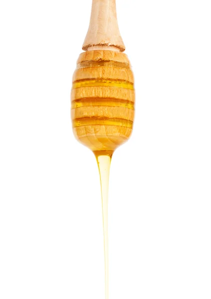 Honey on stick — Stock Photo, Image