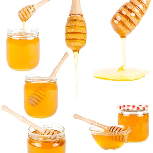 Set of honey on white background — Stock Photo, Image