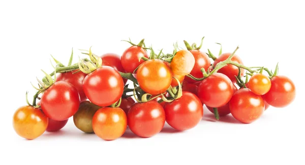 Tomaten — Stockfoto