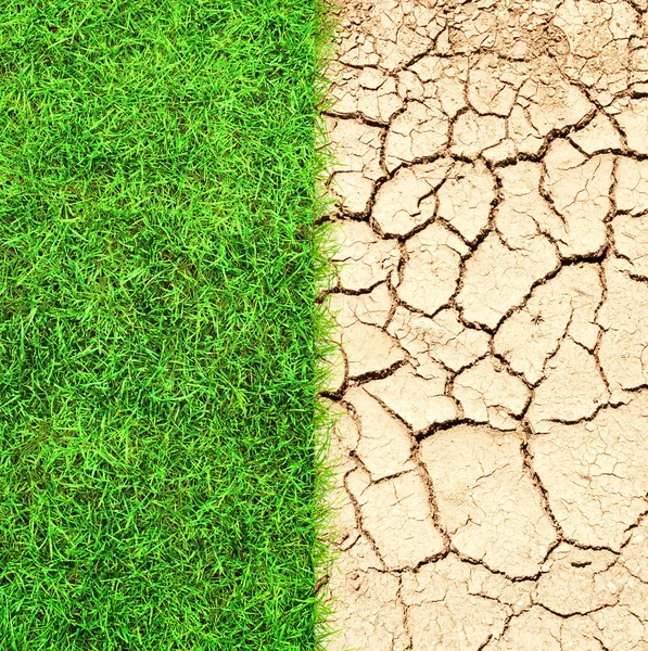 Gebarsten grond en gras — Stockfoto