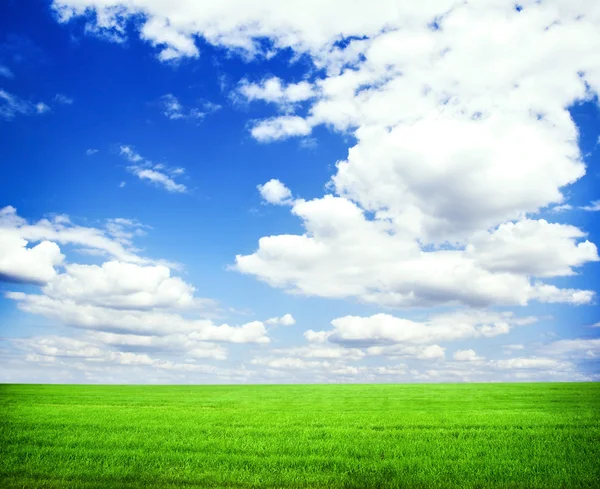 Hermoso campo verde de la mañana con cielo azul — Foto de Stock