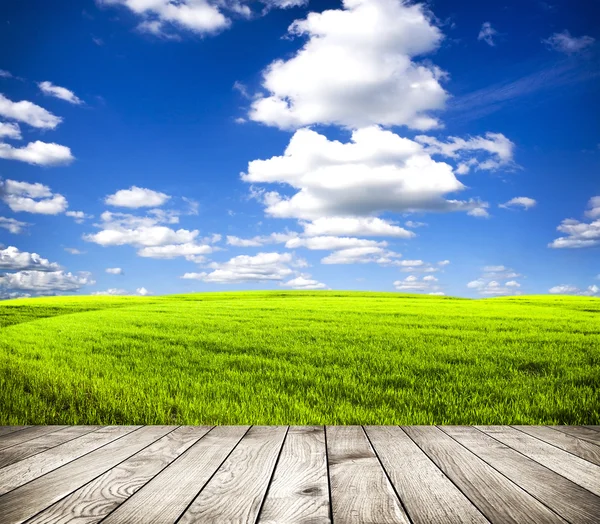 Campo verde sotto il cielo blu — Foto Stock