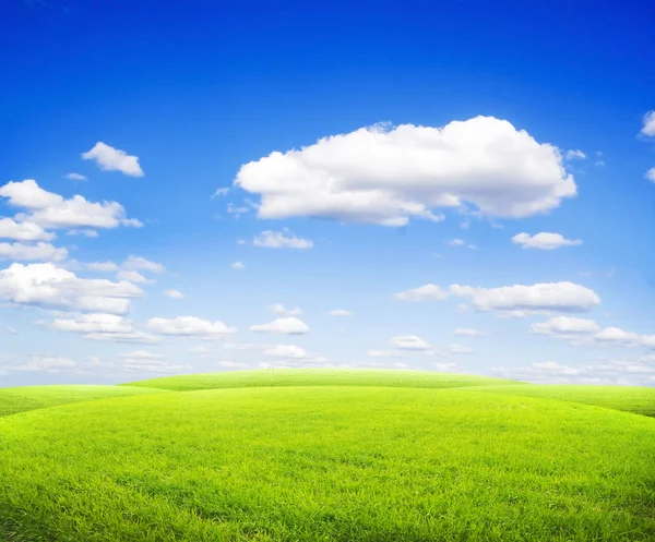 Krásné ranní zelené pole s modrým nebem — Stock fotografie