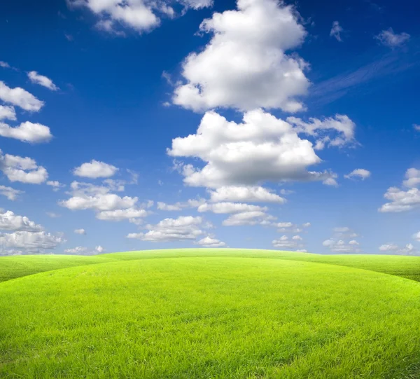 Hermoso campo verde de la mañana con cielo azul — Foto de Stock