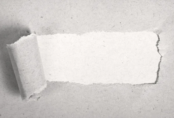 Рваная бумага с местом на белом — стоковое фото