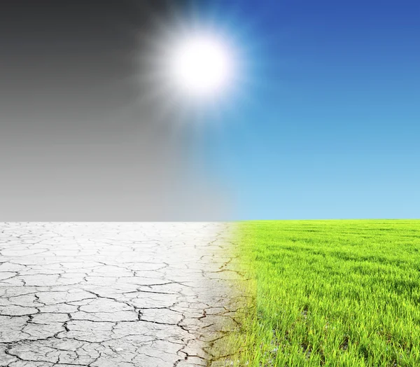 Green grass and dry desert land — Stock Photo, Image