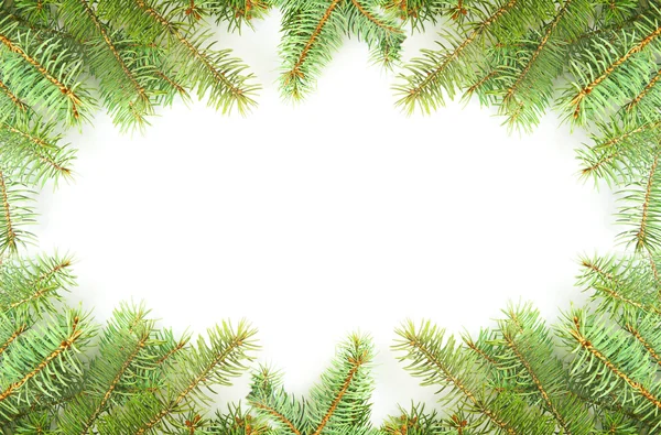 Christmas Tree — Stock Photo, Image