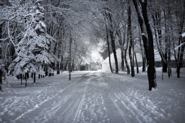 Park