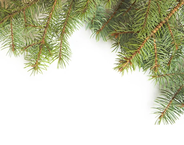 Christmas Tree — Stock Photo, Image