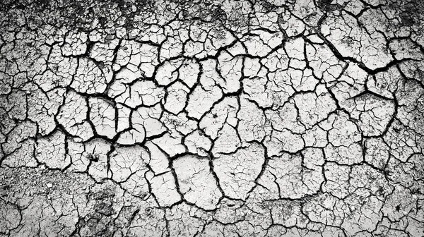 Cracked ground — Stock Photo, Image