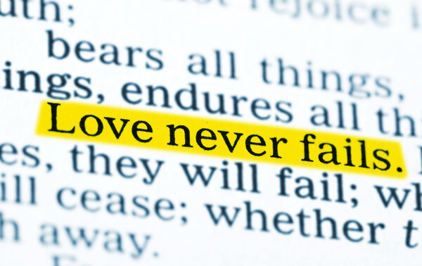 Любовь не терпит неудач
