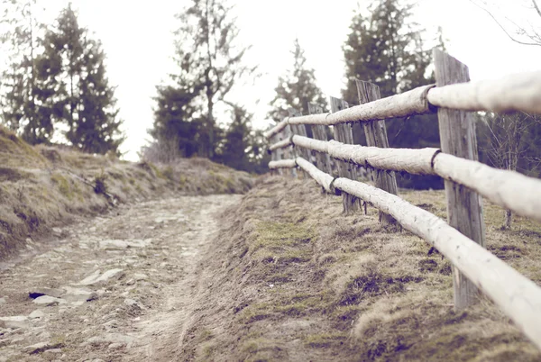 Road — Stock Photo, Image