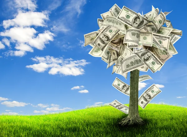 Money tree — Stock Photo, Image