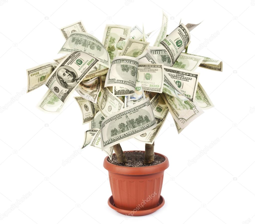 Money tree made of dollar bills