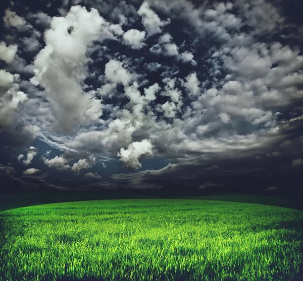 초원 위에 폭풍우 구름 — 스톡 사진