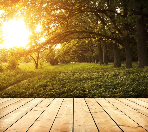 Wooden planks floor texture — Stock Photo, Image