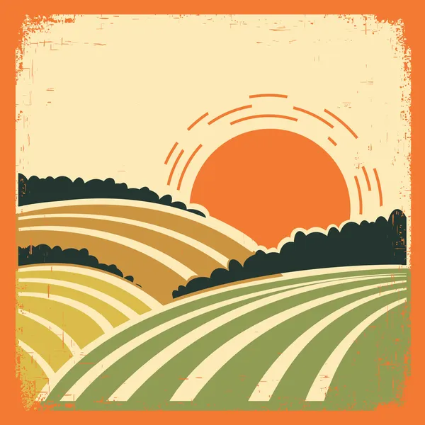 Landscape with fields on old poster — Stock Vector