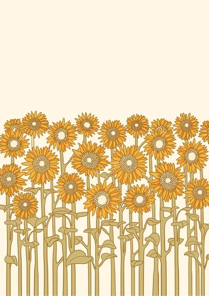 Sonnenblumen Feld Vektor Vintage Illustration Natur Landschaft Hintergrund Für Text — Stockvektor