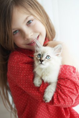 Child and kitten
