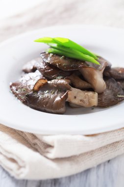 İstiridye mantarı.