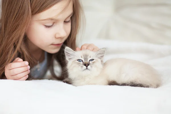 Child and kitten — Stok fotoğraf