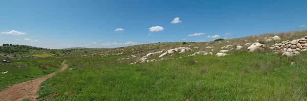 Wandelweg onder mediterrane landschap in het voorjaar van — Stockfoto