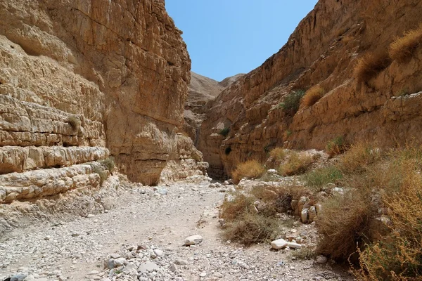 Cañón del desierto — Foto de Stock