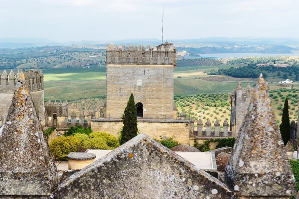 Torre del castillo medieval de Almodovar Del Rio en España — Foto de Stock