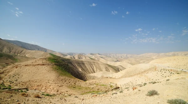 Desert landscape in spring — Stock Photo, Image