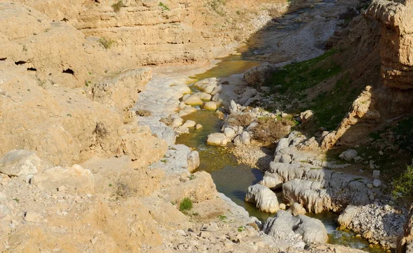 Wadi qelt of nahal prat creek in judean woestijn in de buurt van jericho — Stockfoto