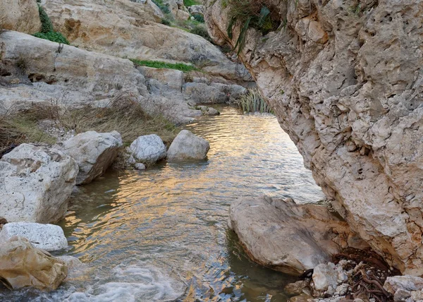 Small mountain creek at sunset — Stock Photo, Image