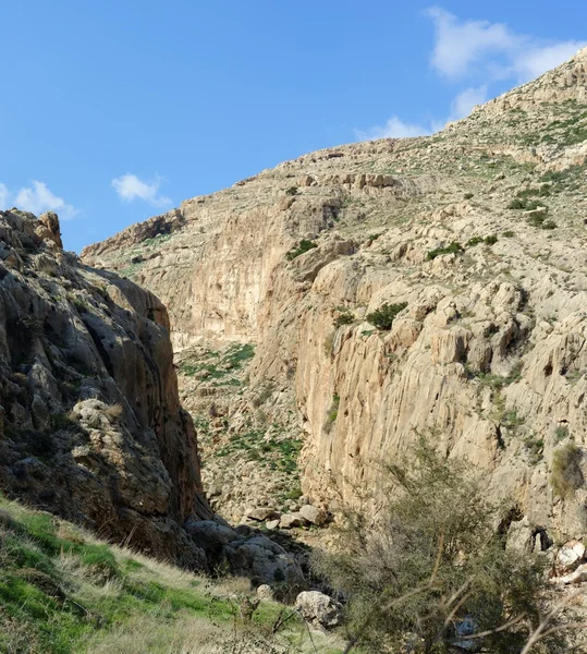 Desert mountain valley of Nachal Prat creek in spring — Stock Photo, Image