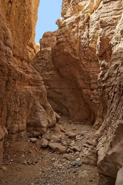 Öken canyon — Stockfoto