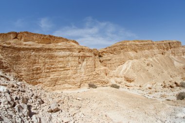 çöl Kanyon duvarı