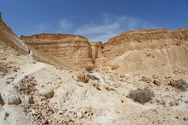 Tepe çöl kanyon yolu — Stok fotoğraf