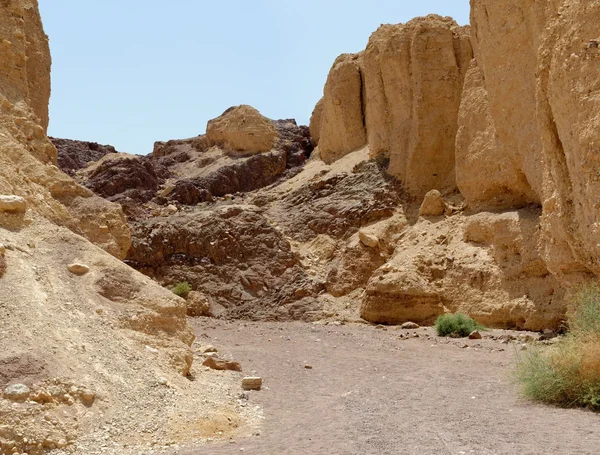 Doğal trek çöl Kanyon, İsrail — Stok fotoğraf