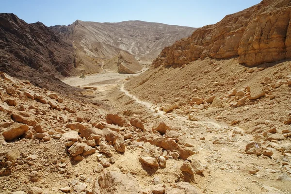 Malownicza ścieżka malejąco do doliny pustynnych, Izrael — Zdjęcie stockowe