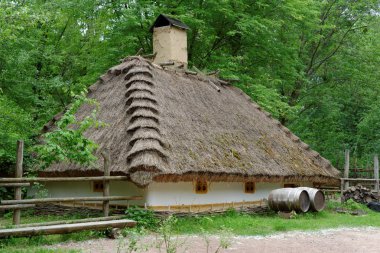 geleneksel çiftçi evi saz çatı altında'Açık Hava Müzesi, kiev, Ukrayna