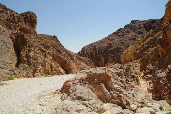 Pad in schilderachtige woestijn canyon, Israël — Stockfoto