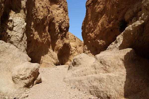 Orange desert canyon — Stock Photo, Image