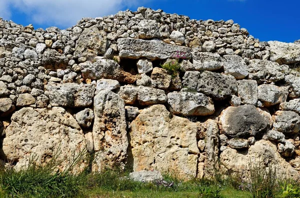 Ściana Neolitycznego Megalitu Kompleks Świątynny Ggantija Wyspa Gozo Malta Lista — Zdjęcie stockowe