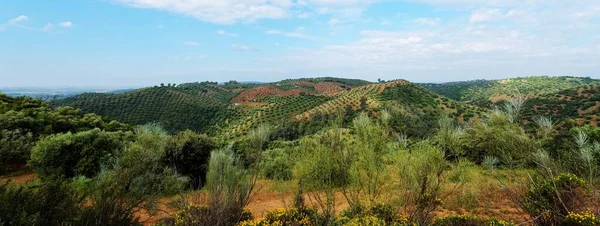 スペインのLa Brena貯水池近くのオリーブの木で覆われた丘のある絵のような地中海の風景 — ストック写真