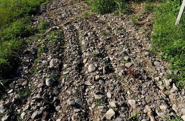 Texture Brown Soil Pebbles Vineyard Row Kakheti Georgia — Stock Photo, Image